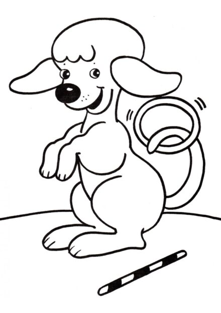 Page de Coloriage : Caniche Dressé