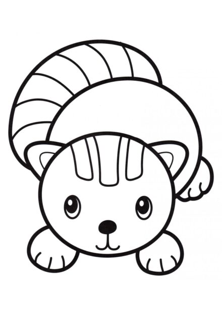 Coloriage : Petit Chaton