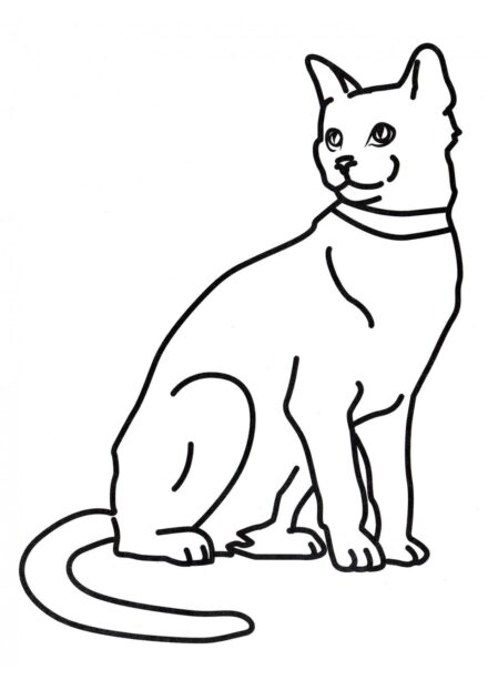 Coloriage : Chat en Train de Se Détendre