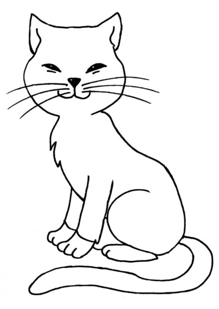 Coloriage : Chat aux Moustaches