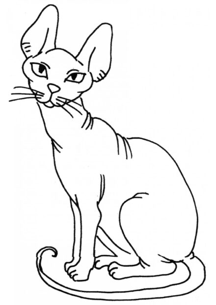 Coloriage : Chat Sphinx