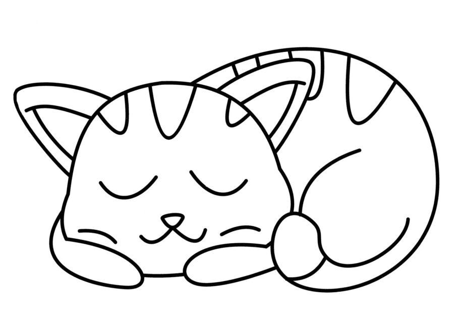 Coloriage : Chaton Endormi