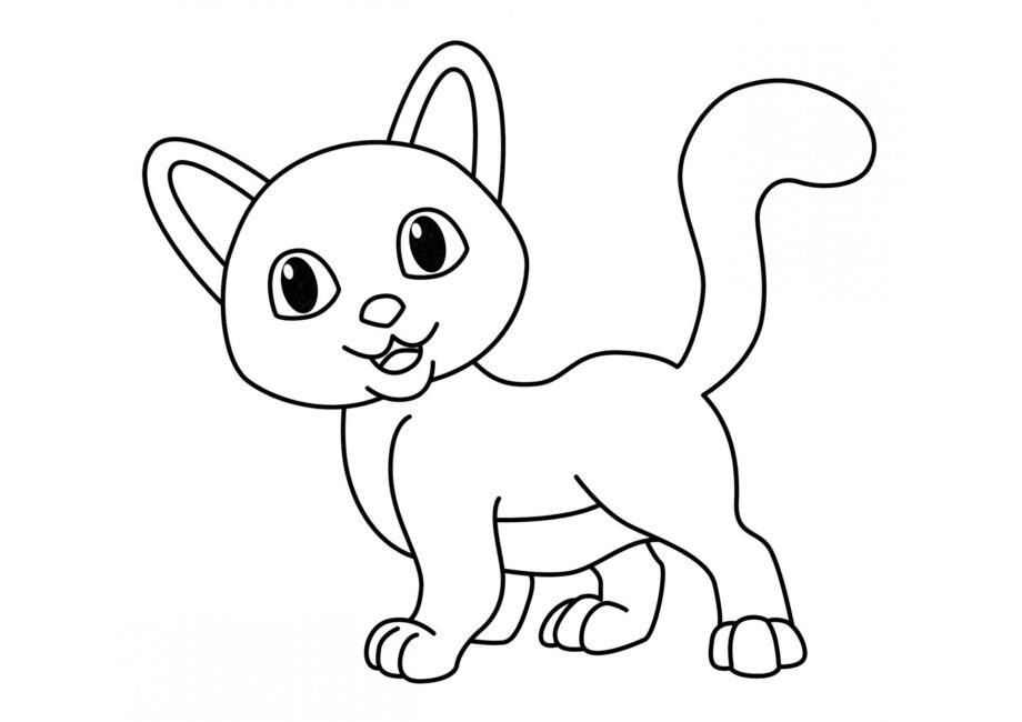 Coloriage : Chat Curieux