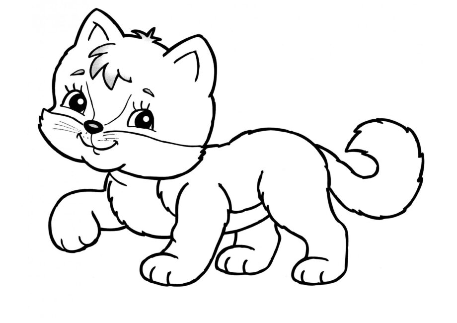 Coloriage : Chaton Élégant