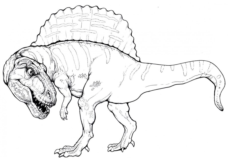 Page de Coloriage de Spinosaurus