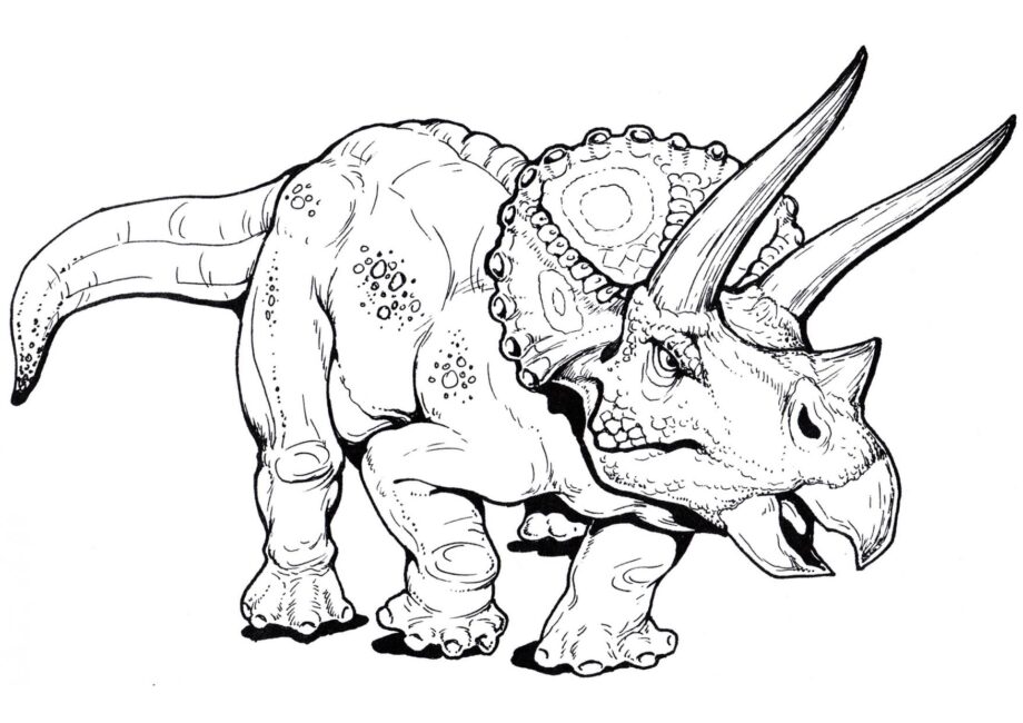 Page de Coloriage de Triceratops