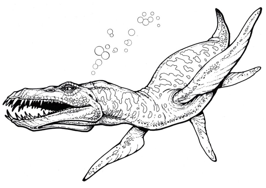 Page de Coloriage de Liopleurodon