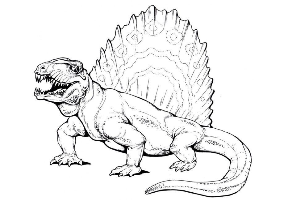 Page de Coloriage de Dimetrodon