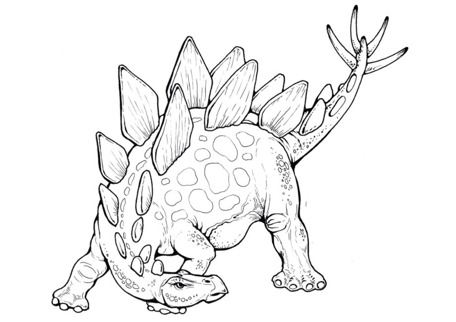 Page de Coloriage de Stegosaurus