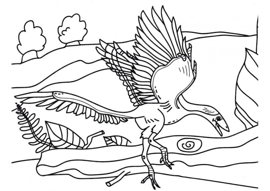 Page de Coloriage d'Archaeopteryx