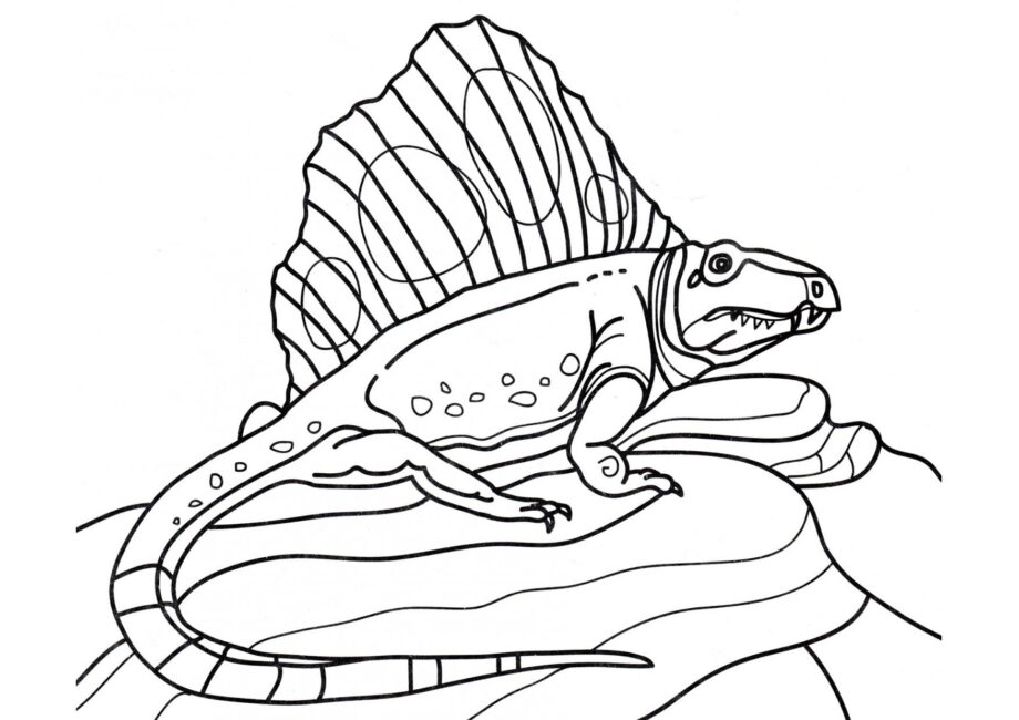 Page de Coloriage de Dimetrodon sur des Roches