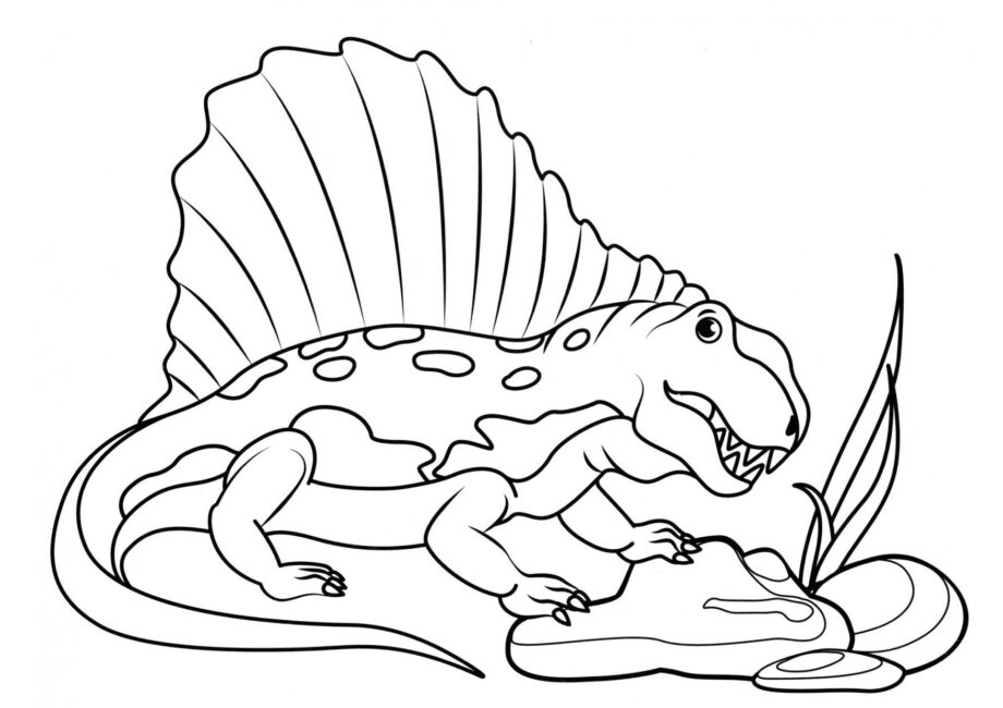 Page de Coloriage de Dimetrodon Magnifique